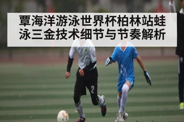 覃海洋游泳世界杯柏林站蛙泳三金技术细节与节奏解析